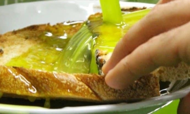 olives collecting 021